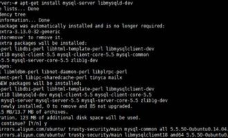 ubuntu安装配置LNMP