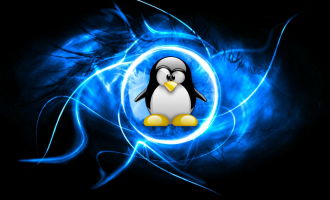 27岁黑客因入侵Linux内核服务器被逮捕