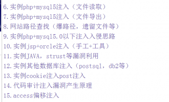分享渗透教程