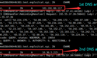 DNS Rebinding技术绕过SSRF/代理IP限制