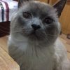 悦铭