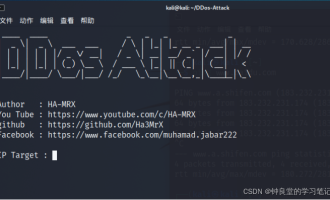 基于Linux Kali的一次DDos攻击实践