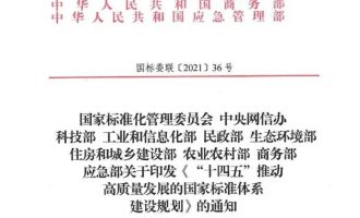 十四五期间信息化及网络安全标准体系建设规划